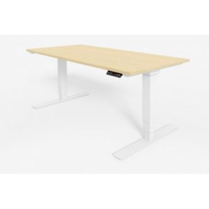 Selectric Height Adjustable Desk