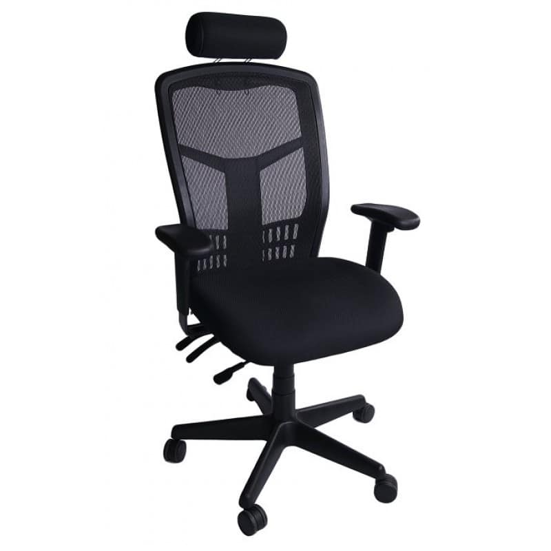 Mesh Deluxe Executive Chair