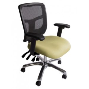 Mirae Mesh Back Task Chair