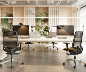 Ergonomics in the Workplace: Investing in Employee Health